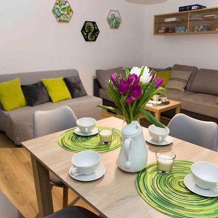 Apartament Grapa Żywiec Eksteriør bilde
